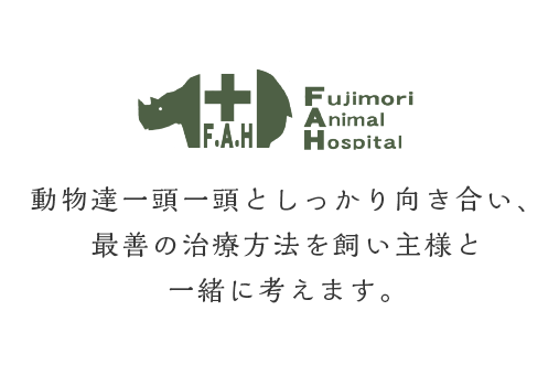 動物達一頭一頭としっかり向き合い、最善の治療方法を飼い主様と一緒に考えます。