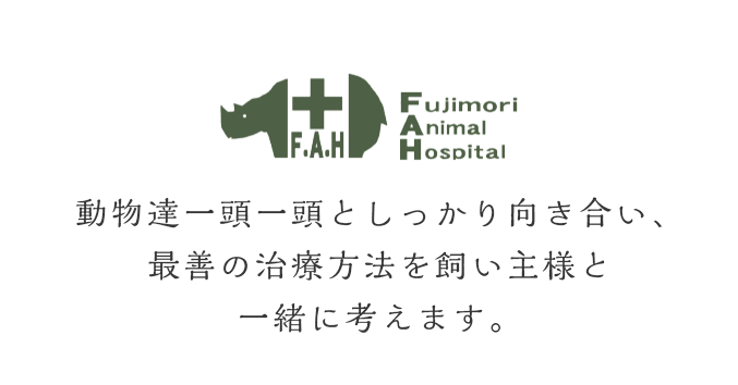 動物達一頭一頭としっかり向き合い、最善の治療方法を飼い主様と一緒に考えます。